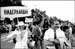 29_WJF_Moskou_1985_TonyBeerling_04_P31